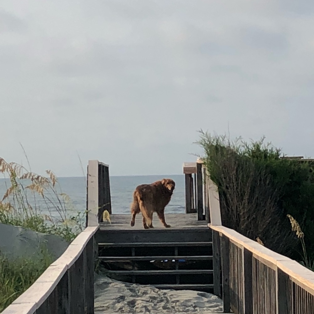 Meet your Posher, Matt